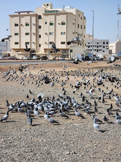 Foto de manarat-al madinah