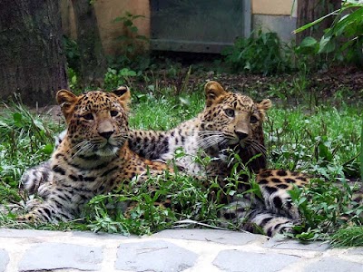 Foto de Cottbus Zoo