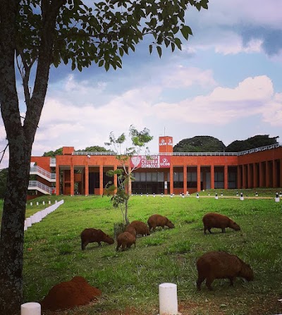 Foto de MCDB - Museu das Culturas Dom Bosco