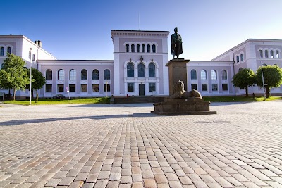 Foto de Bergen University Museum - Natural History