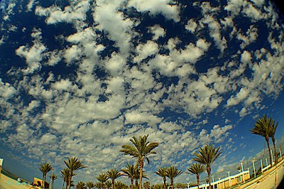Foto de Habonim Beach Nature Reserve