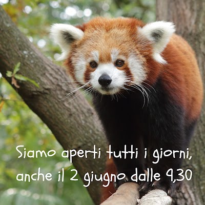 Foto de Zoo of Pistoia