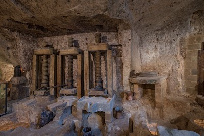 Foto de MOOM Matera Olive Oil Museum