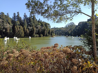 Foto de Lago Negro
