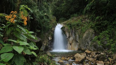 Foto de Mandor