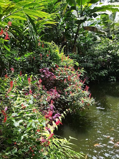 Foto de Abraham s Spice Garden