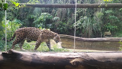 Foto de GramadoZoo