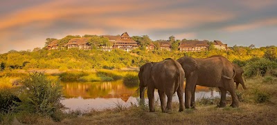 Foto de Safari Victoria Falls