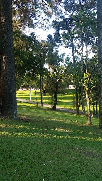Foto de Bosque São Nicolau