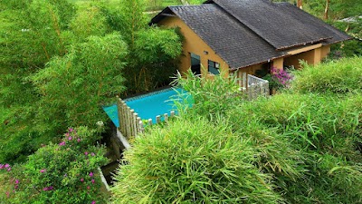 Foto de Tea Terrain Resorts and Spa