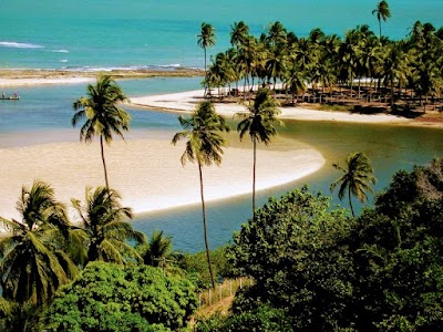 Foto de Parque Municipal de Maceió