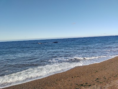 Foto de Playa La Cantera - ST. M. Carrero,