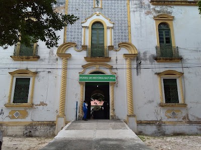 Foto de Museu de História Natural da Universidade Federal de Alagoas