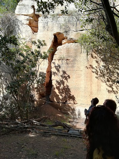 Foto de Foresta Urbana di Lecce