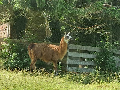 Foto de Parc du Waterlin