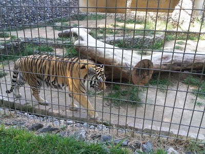 Foto de Parque Zoológico Municipal Quinzinho de Barros