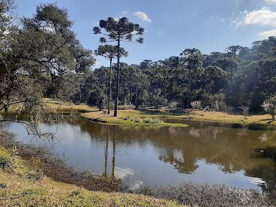 Foto de Parque da Lagoinha