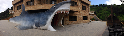 Foto de Lebanese Marine and Wildlife Museum