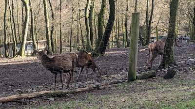 Foto de Wildgehege Mesekendahl