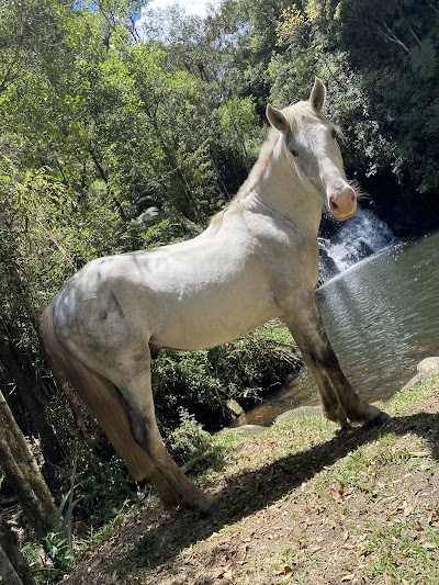 Foto de CAMPING CACHOEIRA DOS SOLAIS