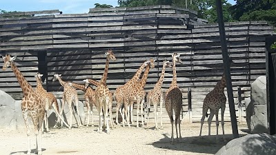 Foto de Jardim Zoológico de Paris