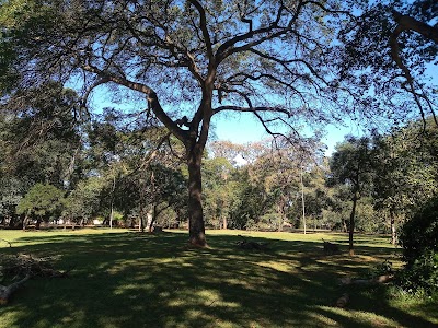 Foto de Bosque da Paz