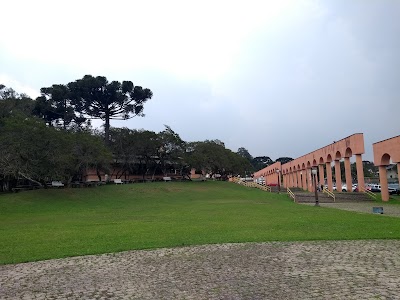 Foto de Bosque São Cristovão