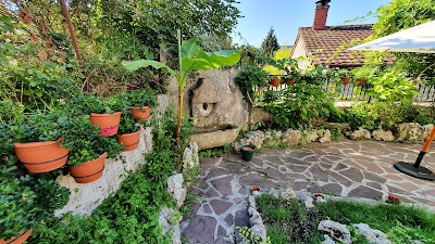 Foto de Hostal Ansonea