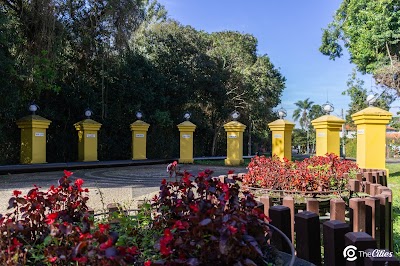 Foto de Bosque de Portugal