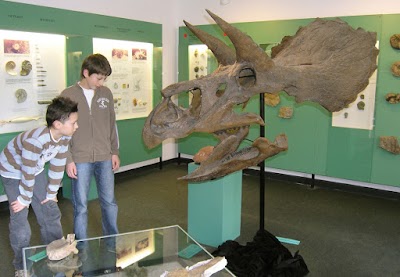 Foto de Urweltmuseum Aalen