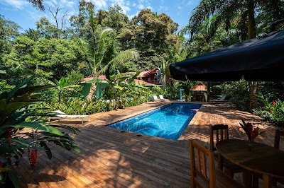 Foto de The Monkey Bowl