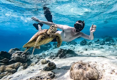 Foto de Ocean Toa Cook Islands