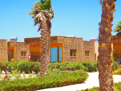 Foto de Dakhla Camp