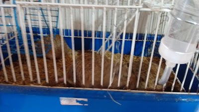 Foto de Zoo Pet Shop