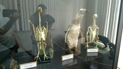 Foto de Museu de História Natural Capão da Imbuia