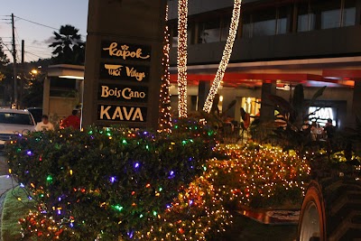 Foto de Tiki Village