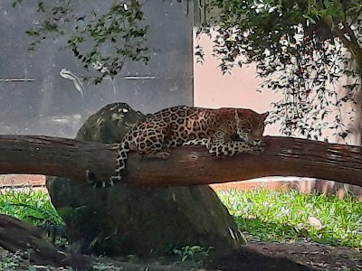 Foto de Zoológico Roberto Ribas Lange
