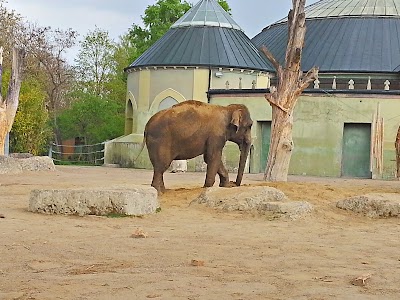 Foto de Tierpark Hellabrunn