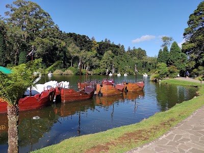 Foto de Pedalinho Cisne do Lago Negro