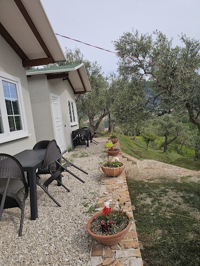 Foto de Mali Camping Kruja .