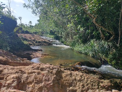Foto de Floresta Nacional de Brasília