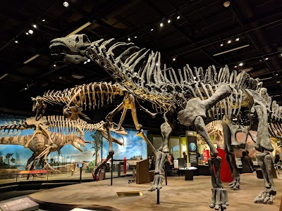 Foto de Denver Museum of Nature e Science