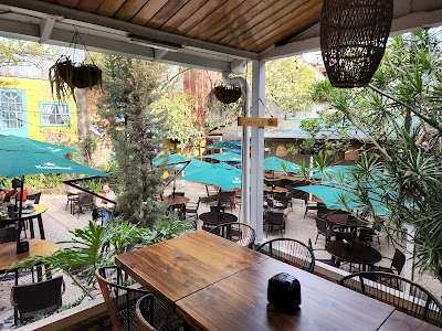 Foto de Jardín de Lolita