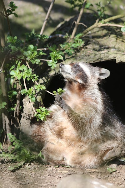 Foto de Munkholm Zoo