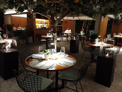 Foto de LIMANÁ - PERUVIAN SUPERFOOD RESTAURANT