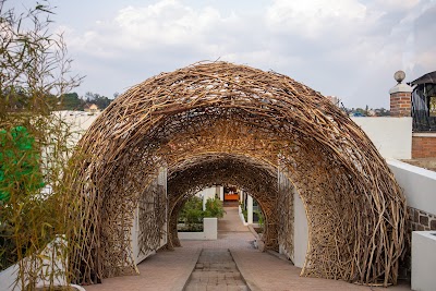 Foto de The Nest