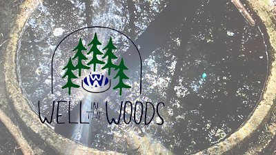 Foto de Well in the Woods