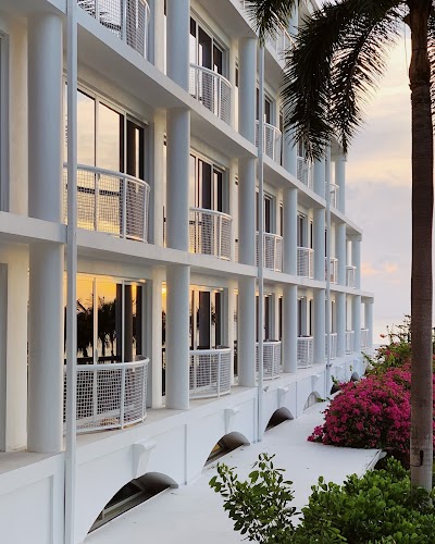 Foto de Palm Heights