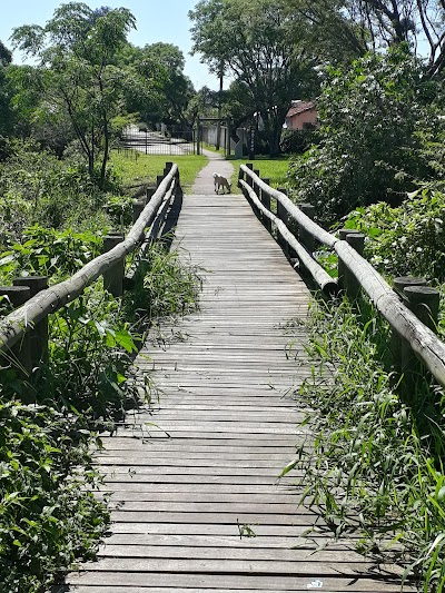 Foto de Reserva do Bugio