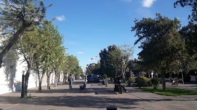 Foto de Central Plaza Dr. Guillermo Rawson